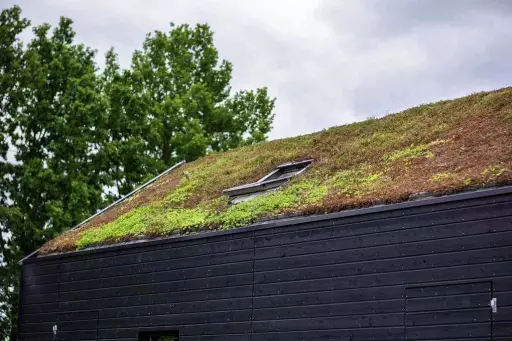 green roof replacement costs