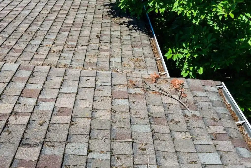 how to clean roof shingles dealing with debris 