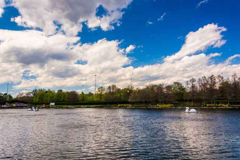 13 Fun Things To Do In Gaithersburg With A Free Day