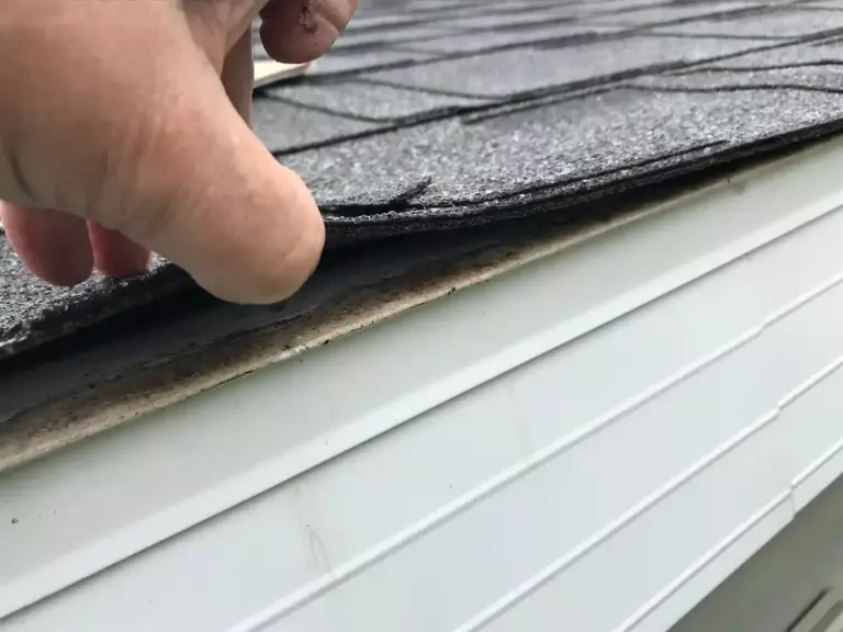 roof inspection cost finger