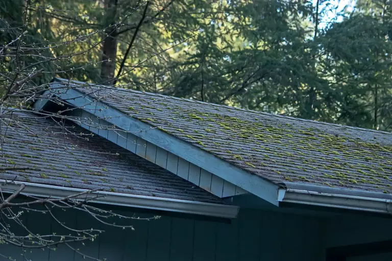 how to get rid of moss on roof bad things about mossy roof
