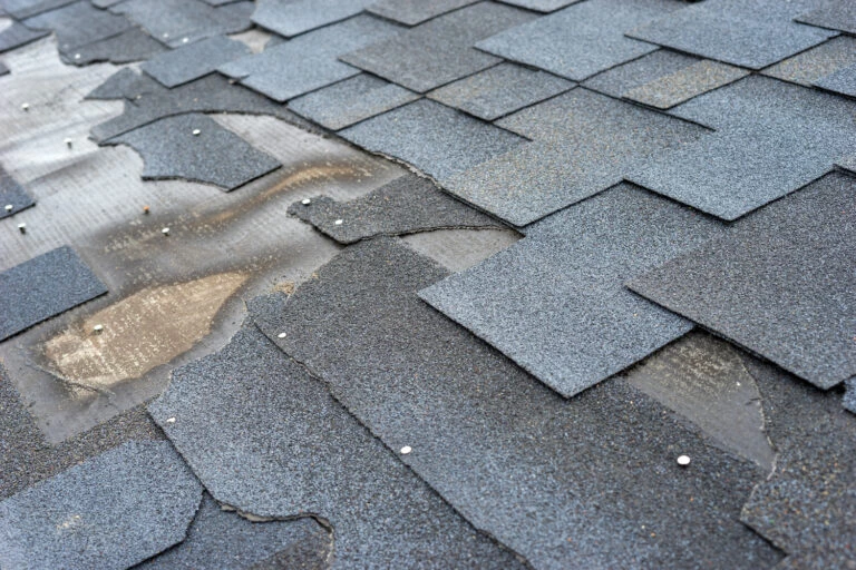 6 Warning Signs You Need To Replace Your Roof ASAP