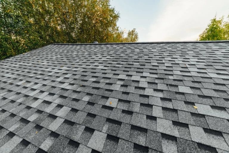 How To Clean Roof Shingles (Step By Step)