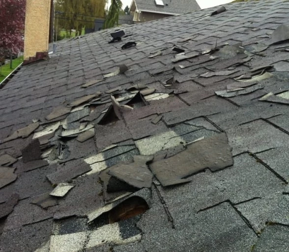 Should I Repair Or Replace My Roof In 2022 (Pros Vs Cons)