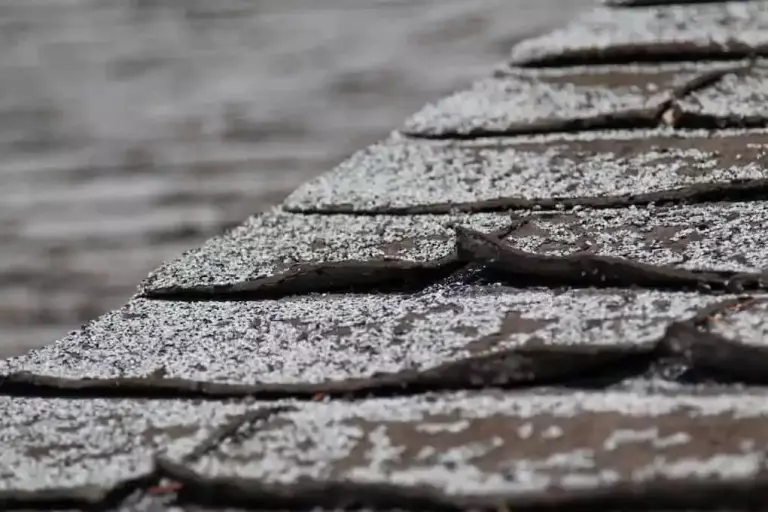 types of roof damage; curling shingles