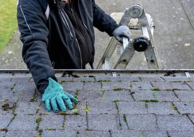 Man inspecting and cleaning dirty moss-covered roof; roof inspections