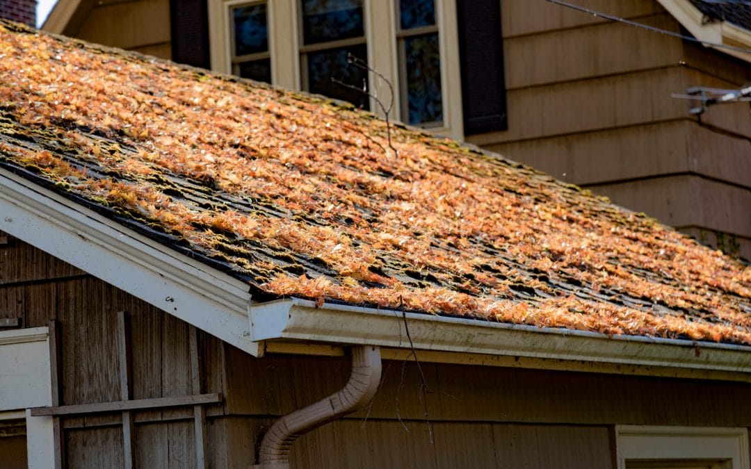 6 Common Spring Weather Problems for Clinton Roofs